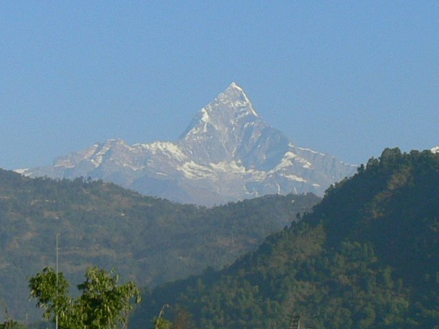 P1000721