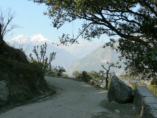 P1000735