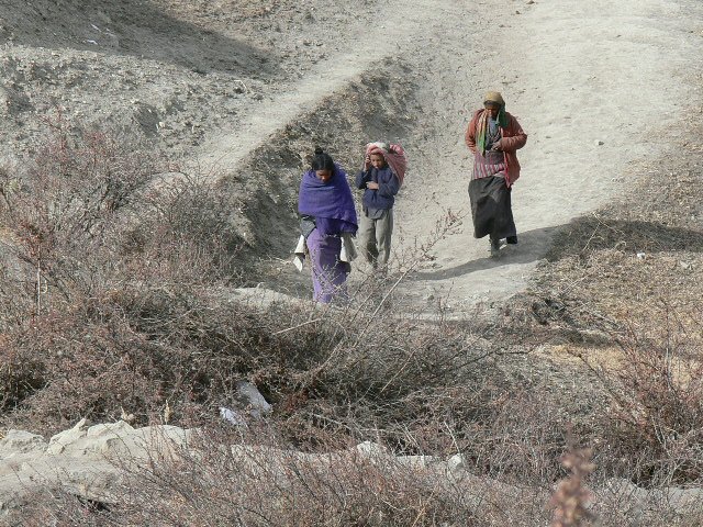 P1000882