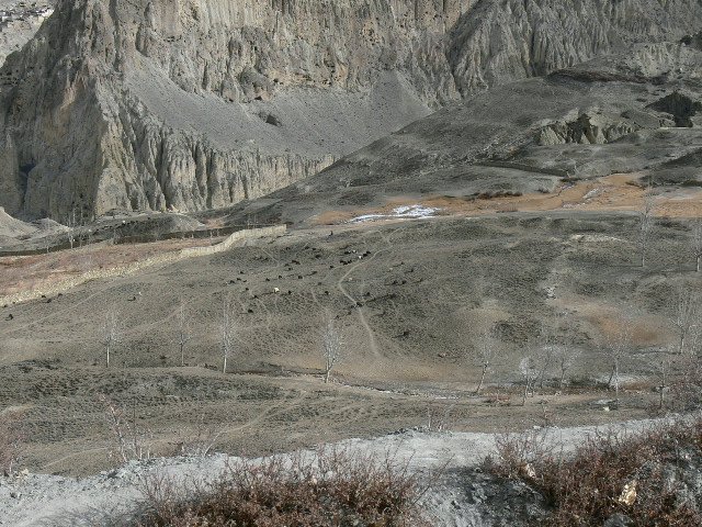 P1000884