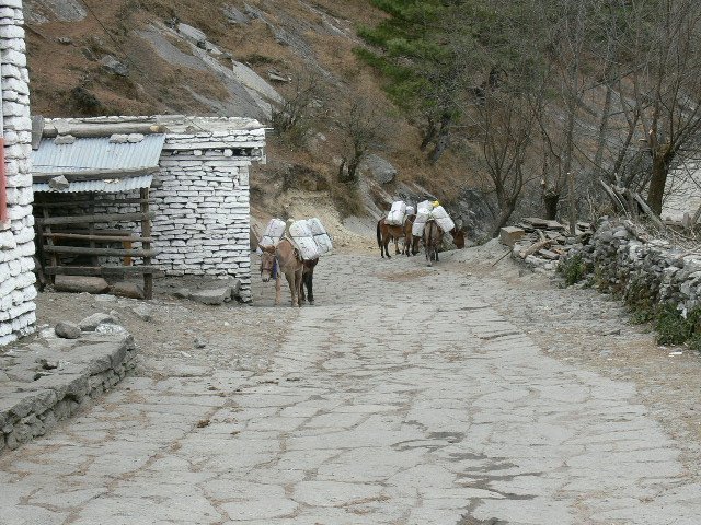 P1000983