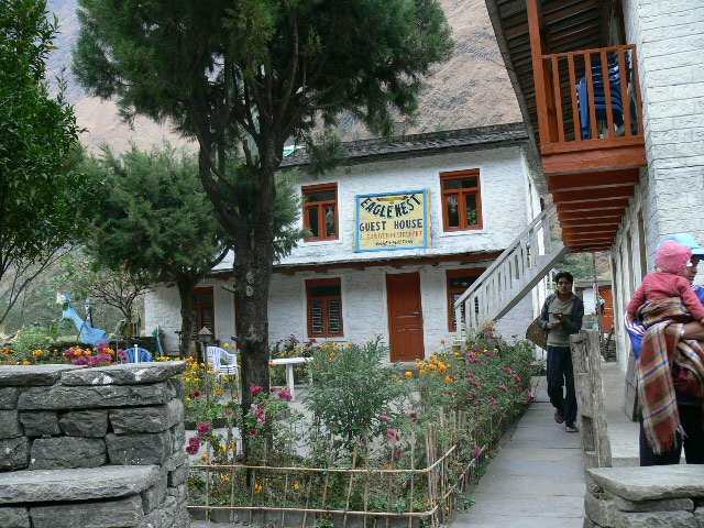 P1000988