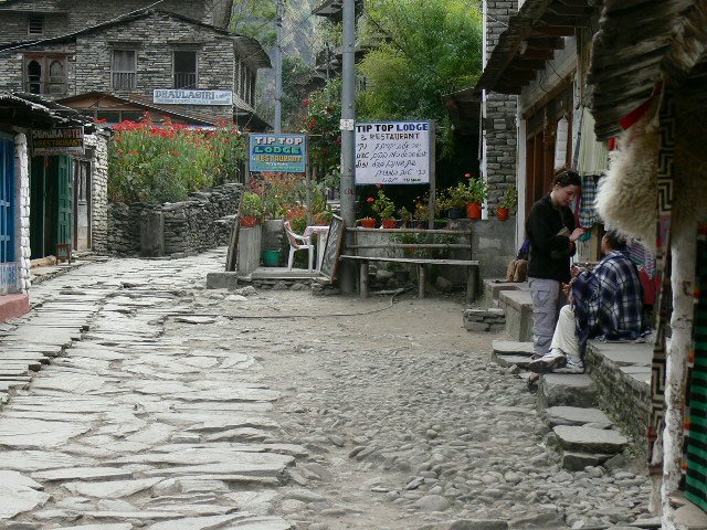 P1010011