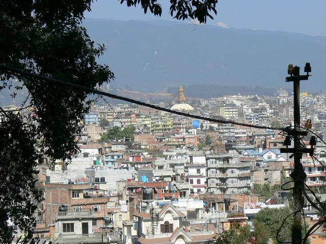 p1000653