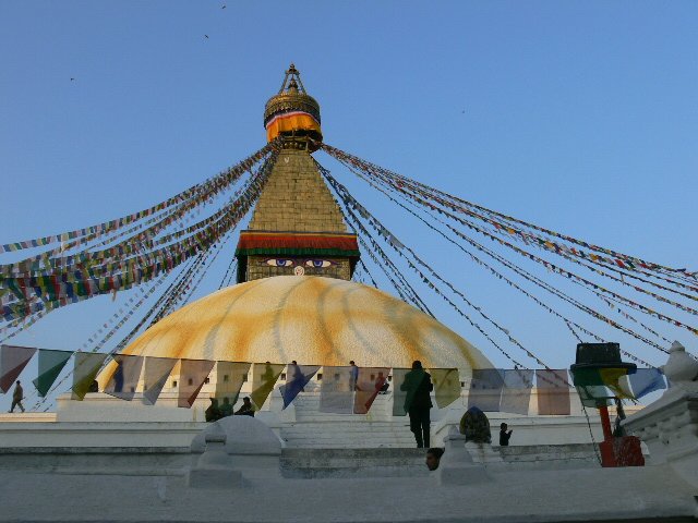 p1000688