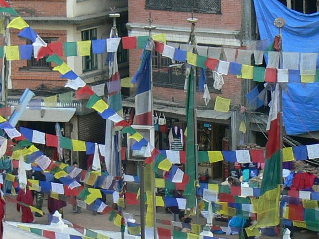p1000705