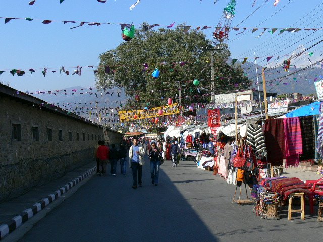 p1010033