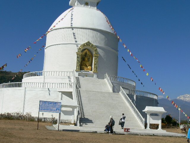 p1010058