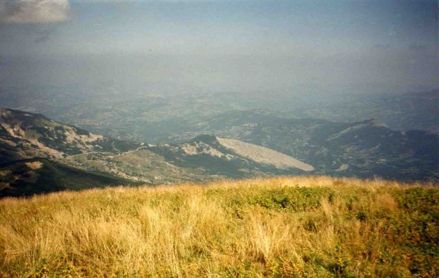 Panorama