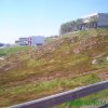 PICT0142