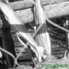 PICT0185