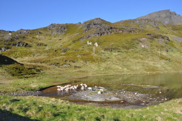DSC_1951