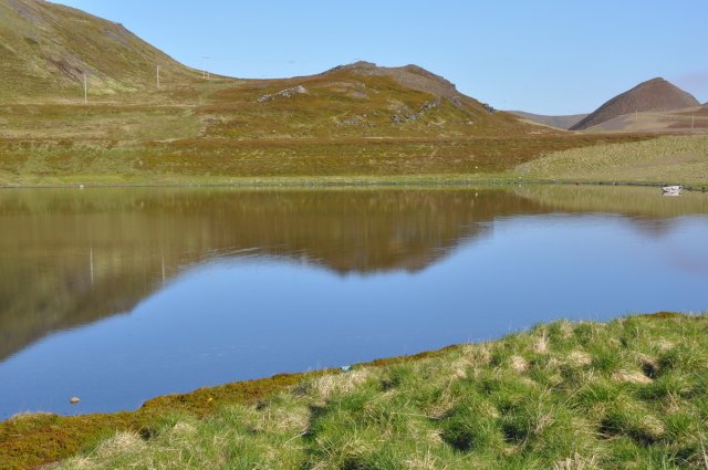 DSC_1959
